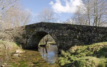 Pontes do Lérez. Ponte Andn